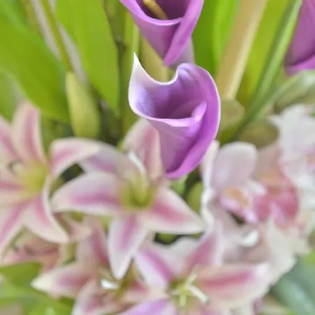 Hotel Unic Renoir Saint Germain