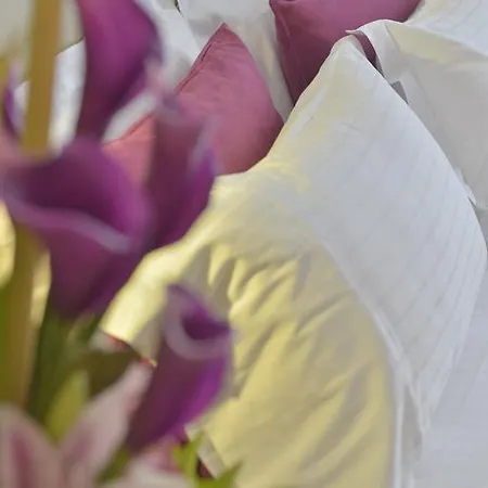 Unic Renoir Saint Germain Parigi