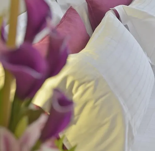 Unic Renoir Saint Germain Paris