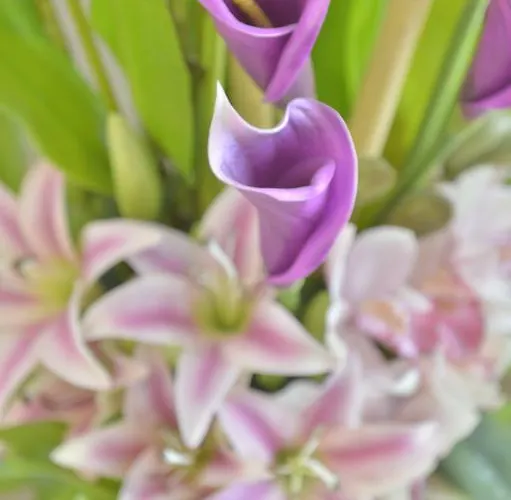 Ξενοδοχείο Unic Renoir Saint Germain